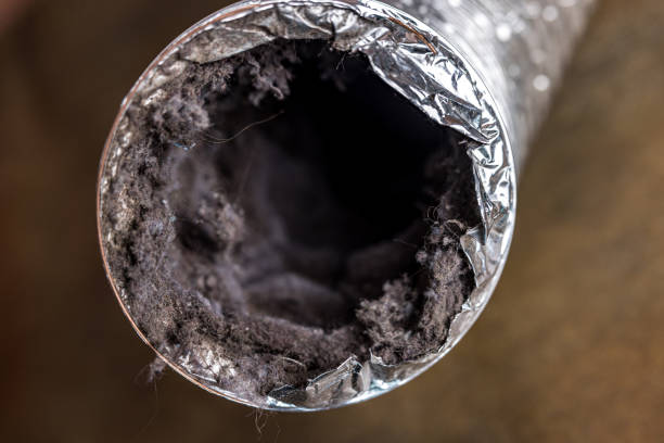 Best Air Duct Cleaning Near Me in Lakeshore, LA